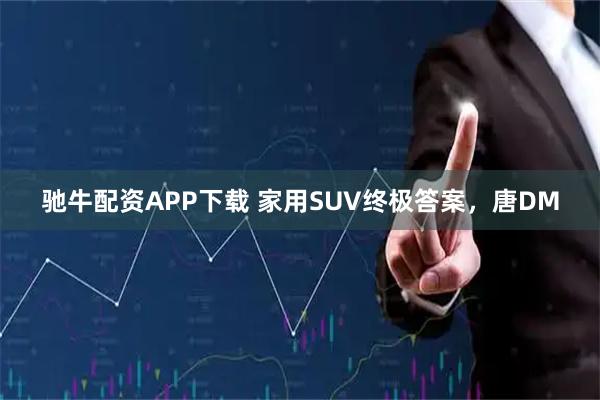 驰牛配资APP下载 家用SUV终极答案，唐DM
