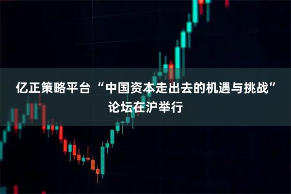 亿正策略平台 “中国资本走出去的机遇与挑战”论坛在沪举行